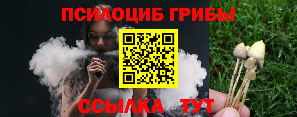 Галлюциногенные грибы Psilocybe Чистополь