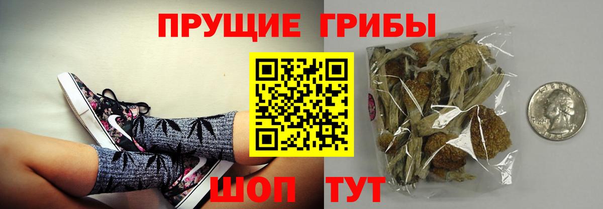 Псилоцибиновые грибы Cubensis  Псилоцибиновые грибы MAGIC MUSHROOMS  Вход с VPN  Чистополь 